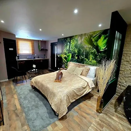 Appartement Chambre Cosy - Jacuzzi - Little Room Vendôme Extérieur photo