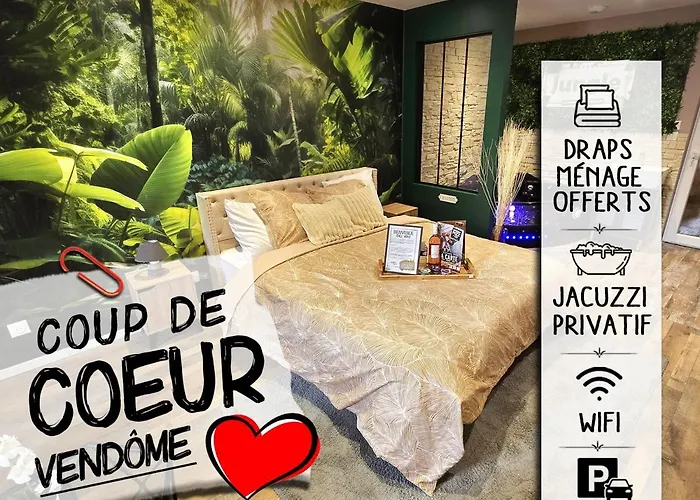 Appartement Chambre Cosy - Jacuzzi - Little Room Vendome