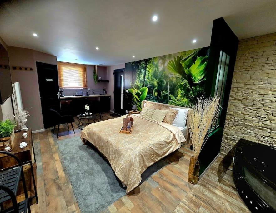 Cosy - Jacuzzi - Little Appartement *